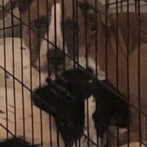 Meet your Posher, Malcolm